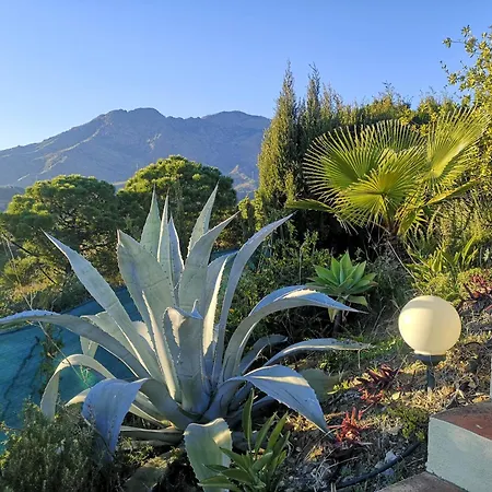 Apartmán Roca Penthouse *