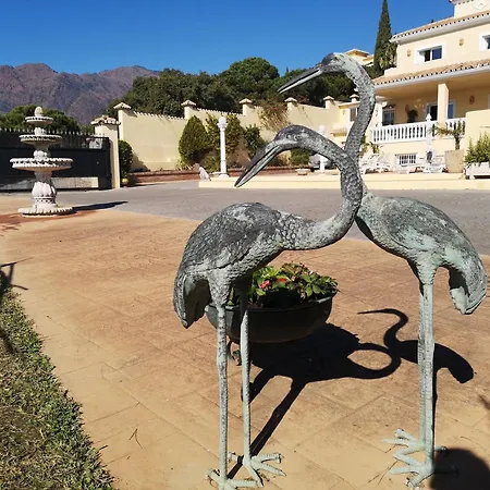 Roca Penthouse Apartmán